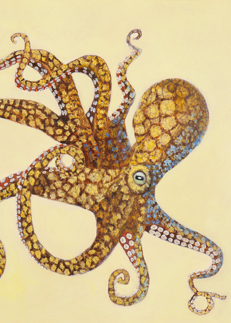Octopus | Art Print
