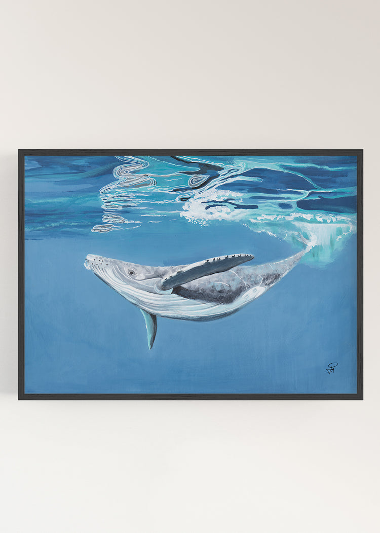 Humpback Whale | Art Print