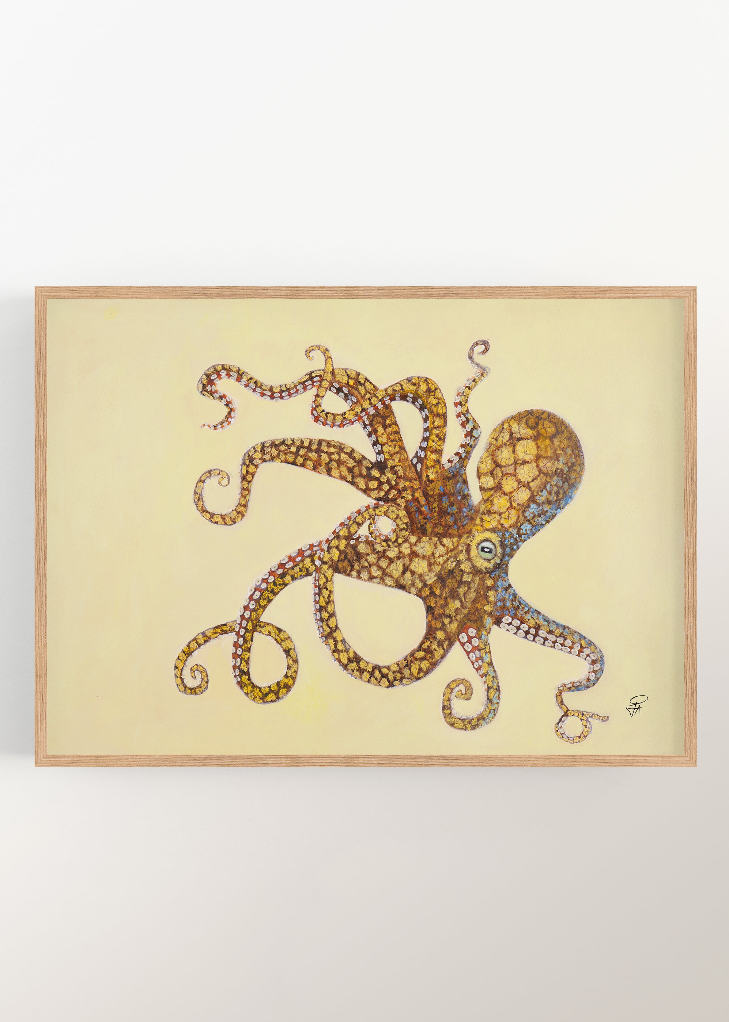 Octopus | Art Print